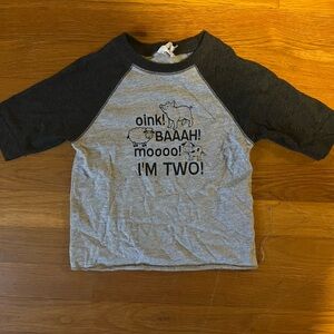 Gray and Black Graphic Toddler Shirt